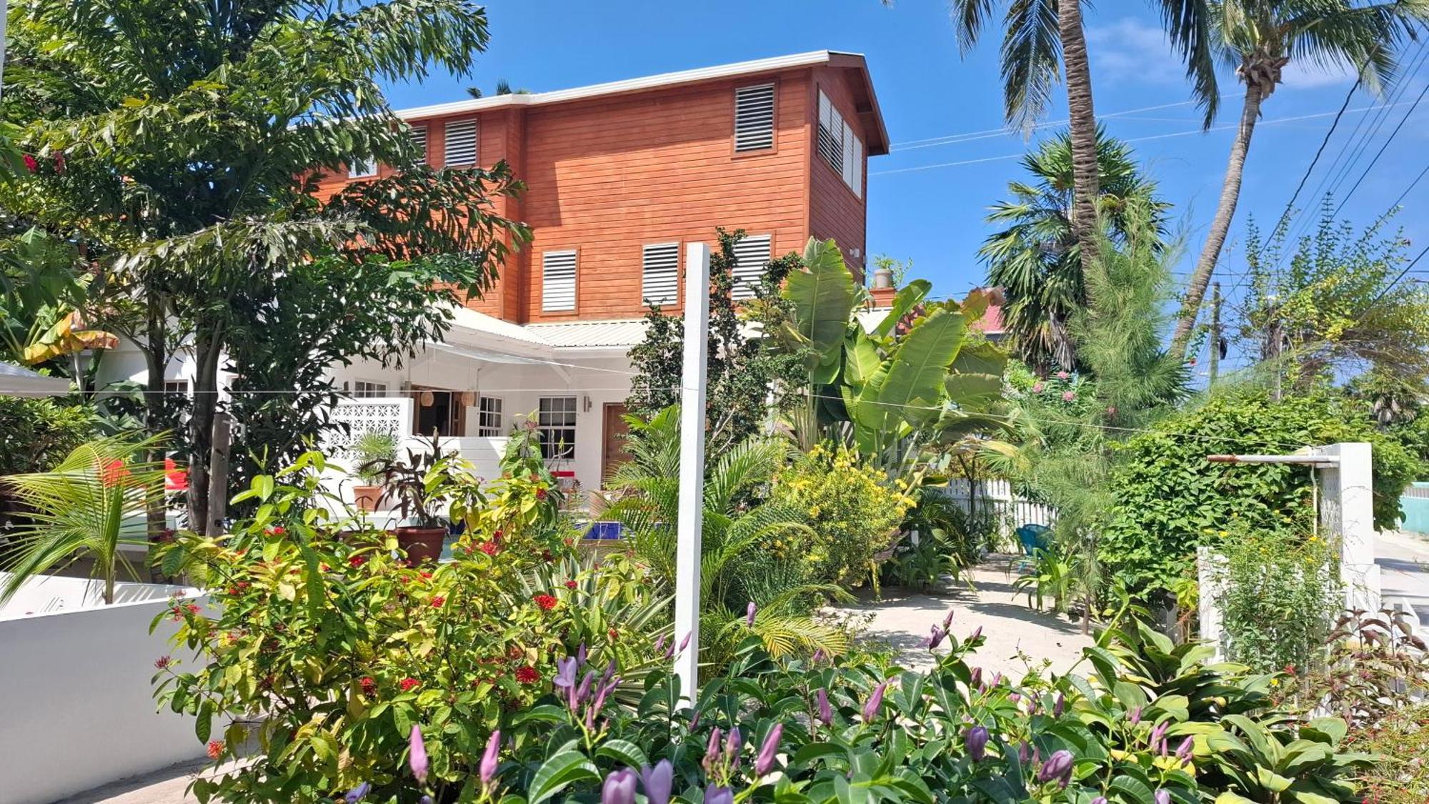 Amanda'S Place Green Studio - Pool And Tropical Garden Caye Caulker Exteriér fotografie