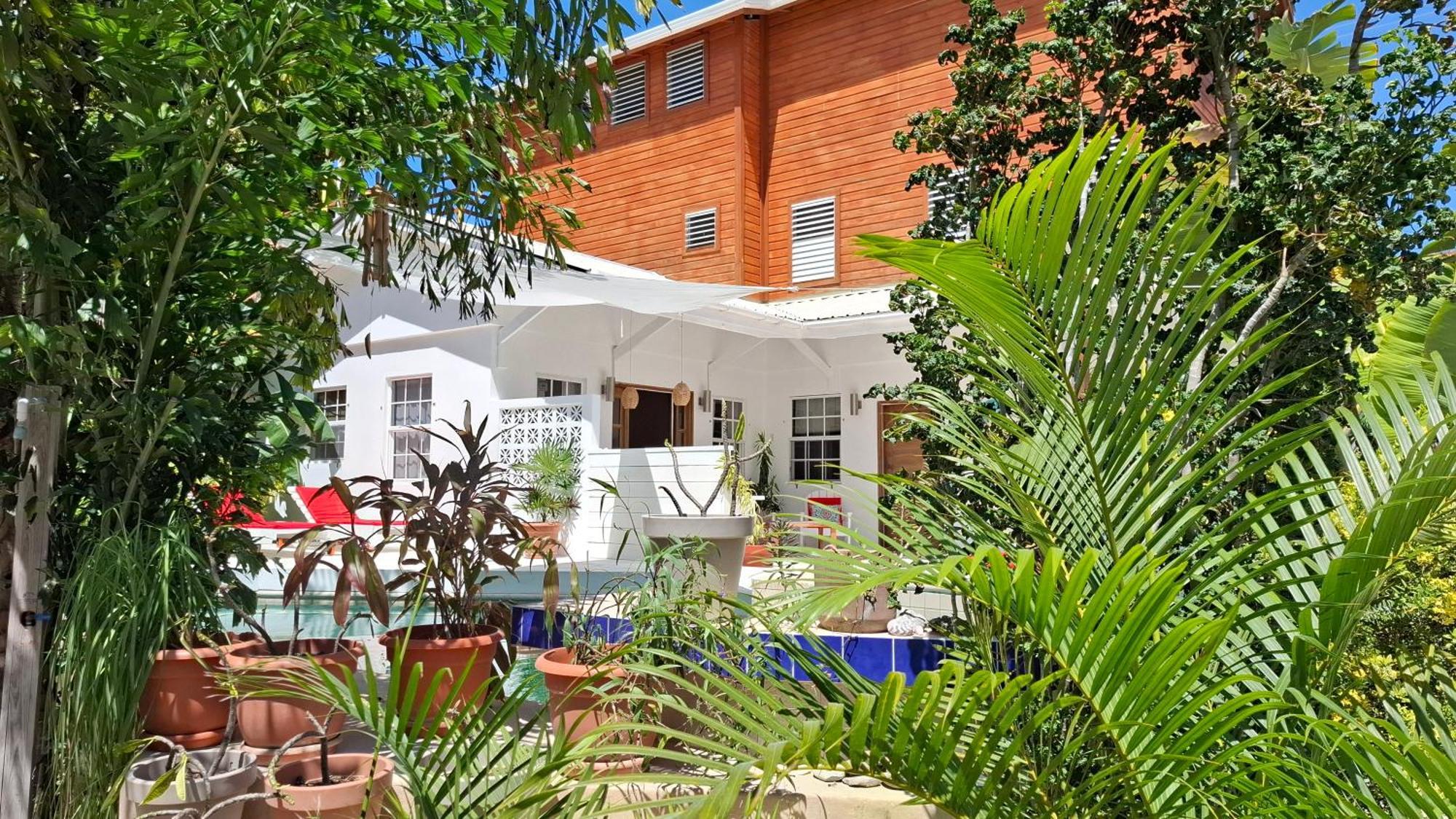 Amanda'S Place Green Studio - Pool And Tropical Garden Caye Caulker Exteriér fotografie